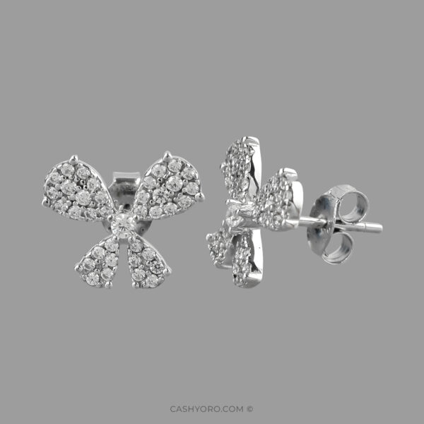 Aretes de plata